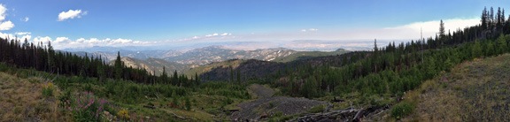 Panoramic View