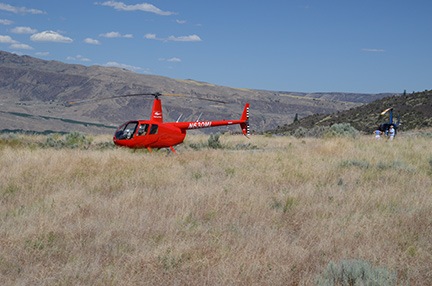 Two Helicopters