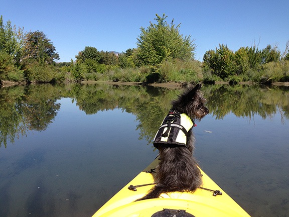 Penny on the Kayak