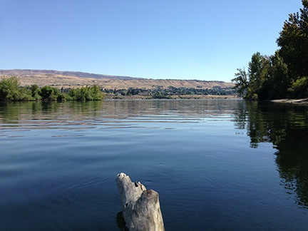 Parked on a Log