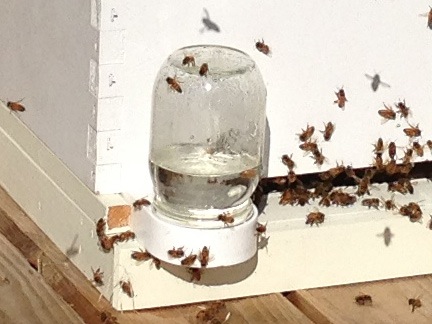 Entrance feeder