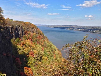 Palisades View