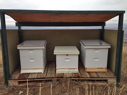 Semi-Winterized Hives