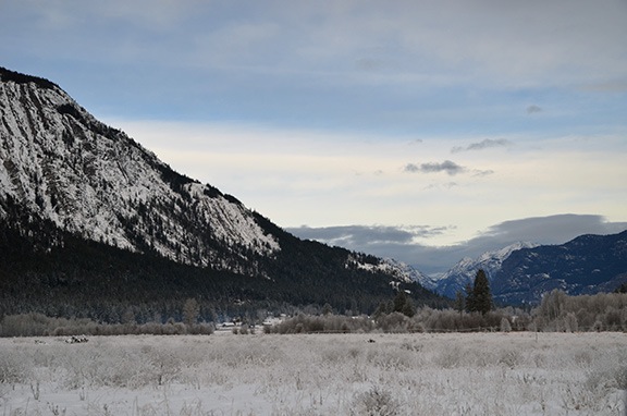 Frosty Fields