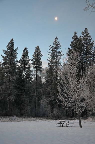 Snow and Moon