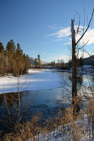 Along the Methow River