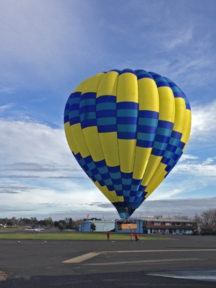This Morning's Drop In Visitor