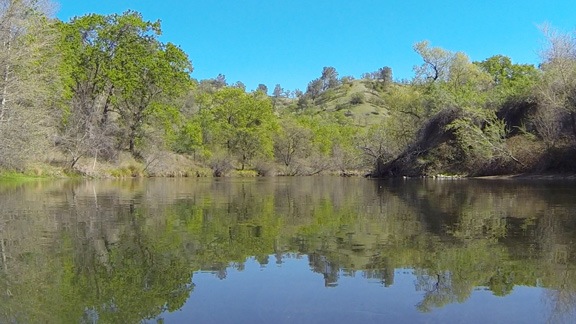 Calm Water Reflections