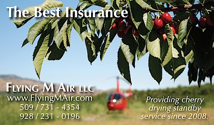 Cherry Drying Business Card