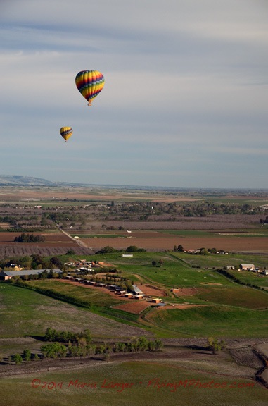 Balloons in Flight