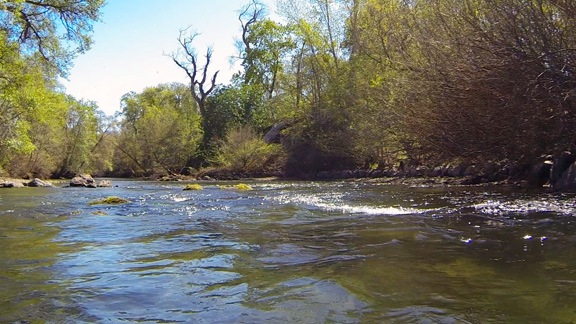 Rapids