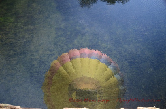 Balloon Reflection