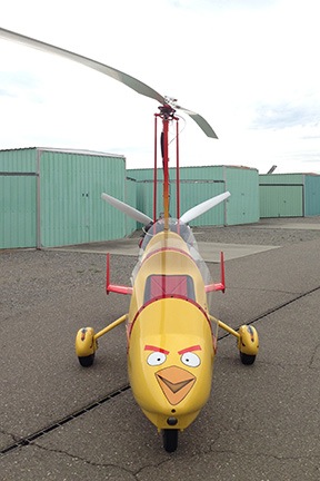 Angry Bird