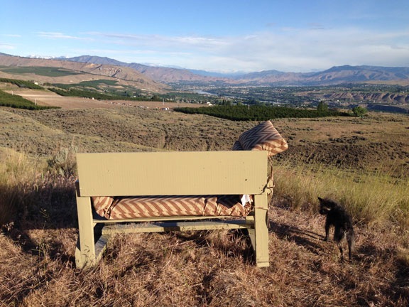 Lookout Point Bench