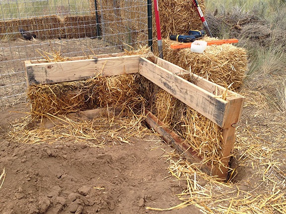 Pallet Garden