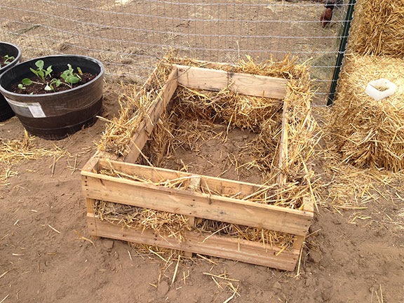 Pallet Garden