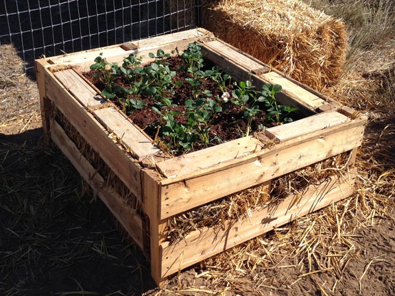 Pallet Garden