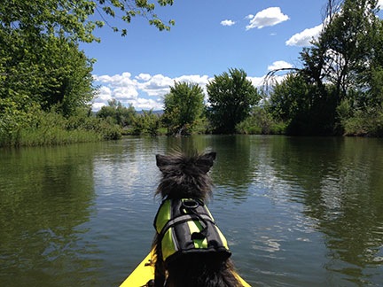 Penny in the Kayak