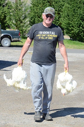 Carrying the Chickens