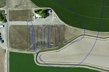 Corn Field 3