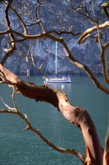 Watmough Bay