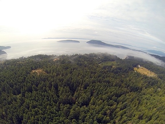 Fog Over Puget