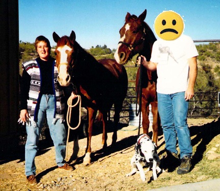 Horses