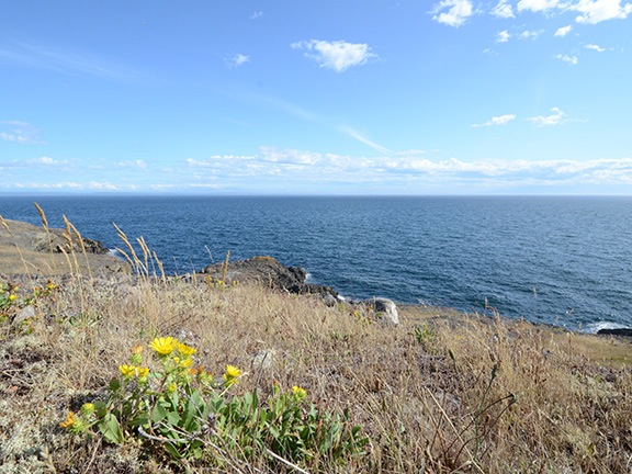 Iceberg Point View
