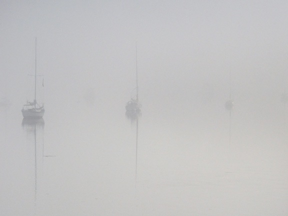 More Fog