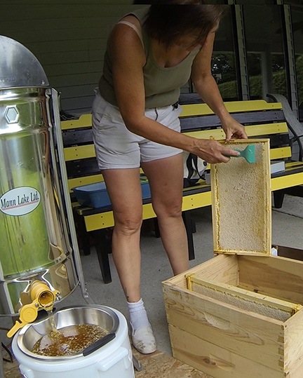 Extracting Honey