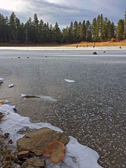 On the Shore of Clear Lake
