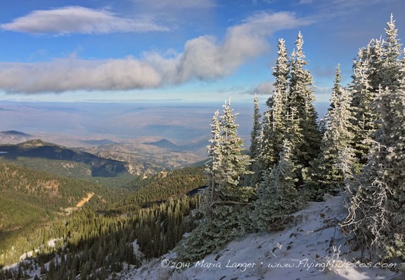 Christmas Card Image