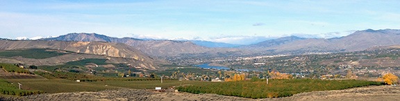 Autumn View