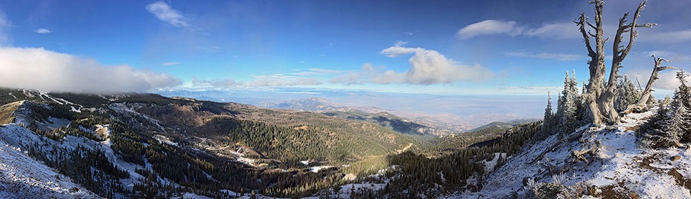 Panorama