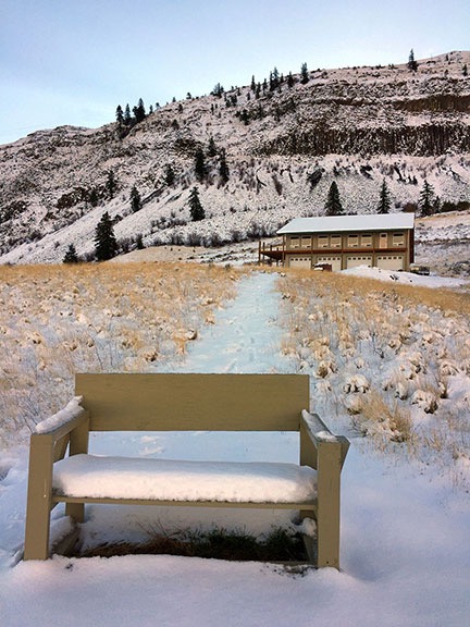 Snowy Home