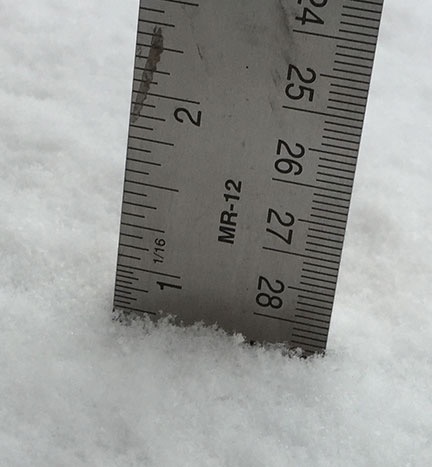First Snow Reading