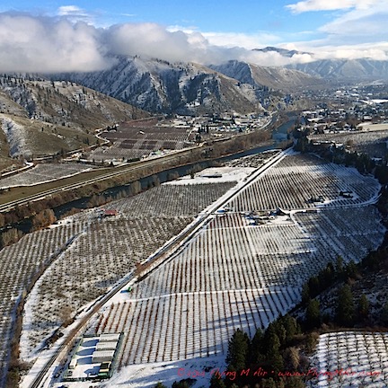 Orchard West of Cashmere