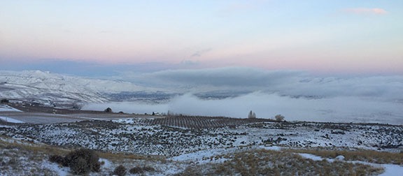 Low Fog