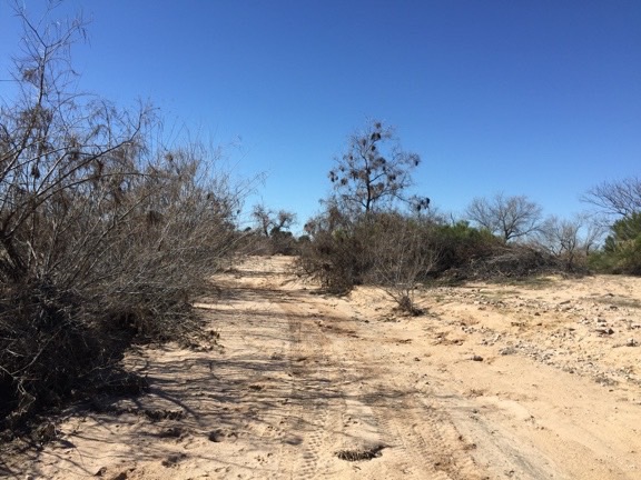 Desert Wash