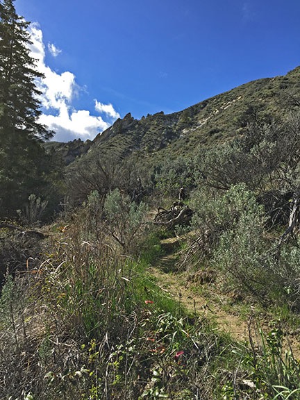 End of Trail