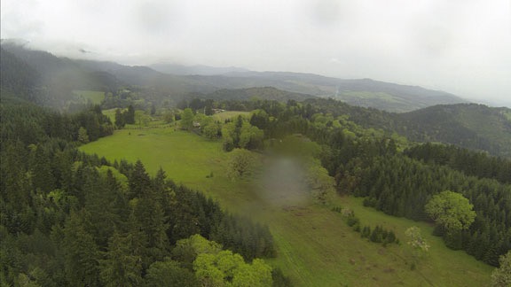 Green Hills Near Umpqua