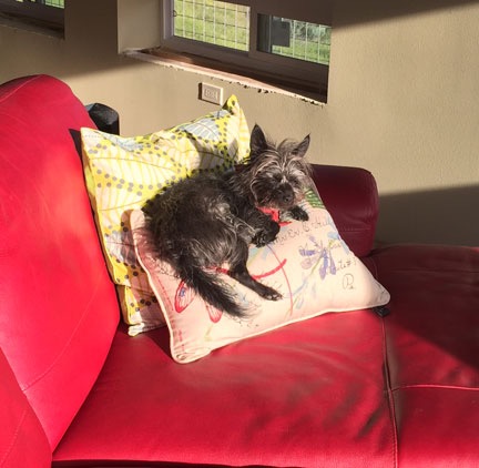 Penny's New Morning Spot