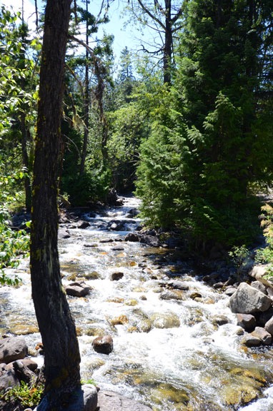 Trout Creek