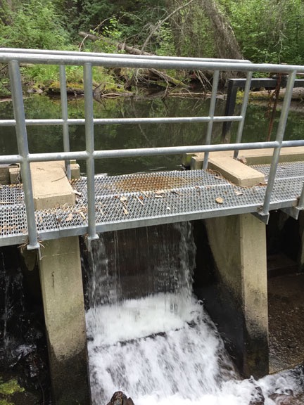 Dam