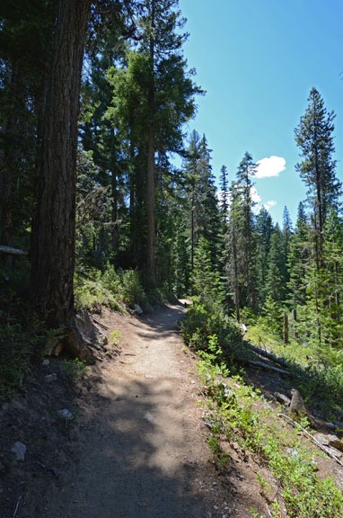 Icicle Gorge Trail