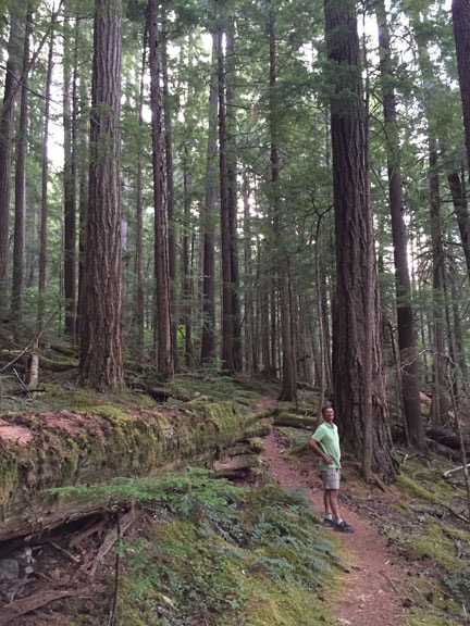 Kirk and the Big Trees