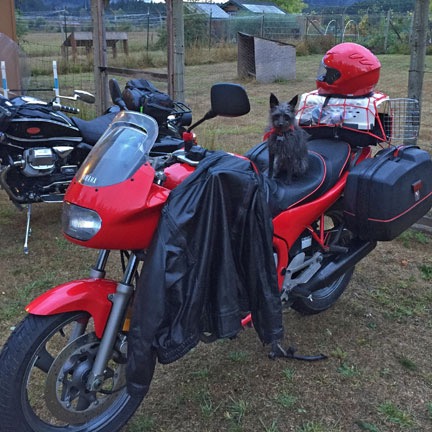 Penny on a Motorcycle