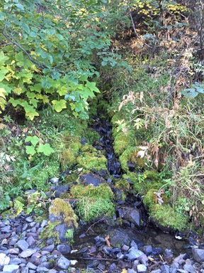 Creek