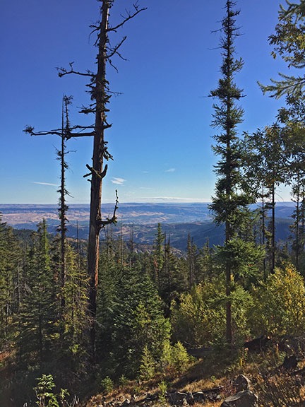 View from Pipeline Trail