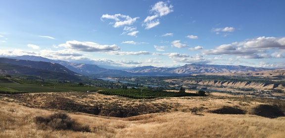 View From Home